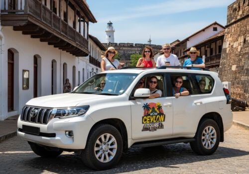 Explore Sri Lankas hill country with Wow Ceylon Tours, featuring lush tea plantations and scenic train rides through Kandy, Nuwara Eliya, Haputale, and beyond